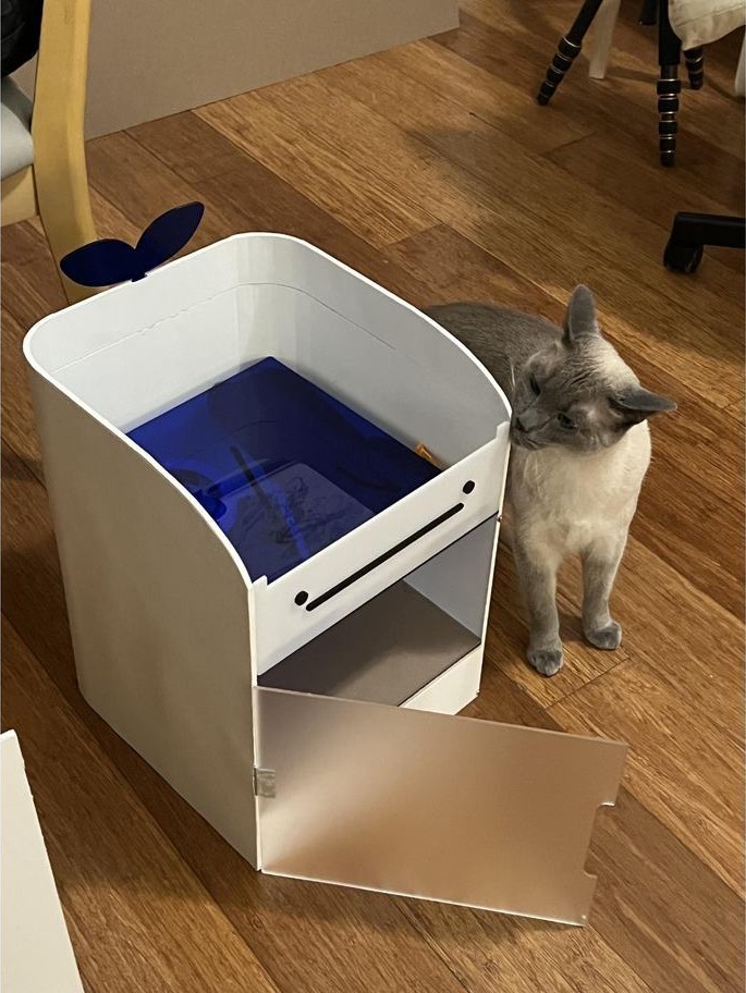 The office cat inspecting Lockit